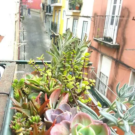 Apartment Misericordia! Bairro Alto Concept *