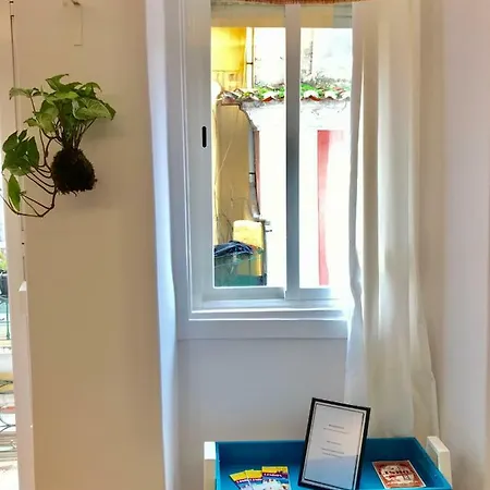 Misericordia! Bairro Alto Concept * Lisbon