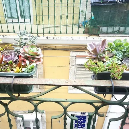 Misericordia! Bairro Alto Concept דירה